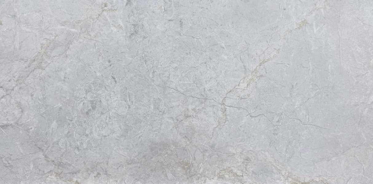 BD36P36G GLOSS 300x600