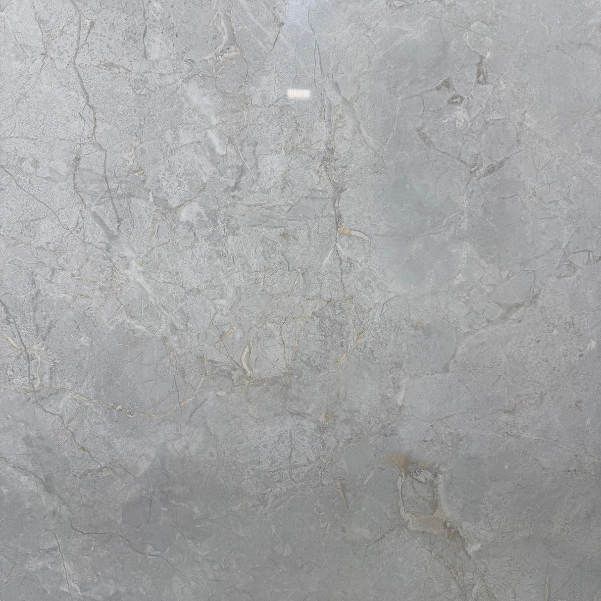 BD036G 600X600