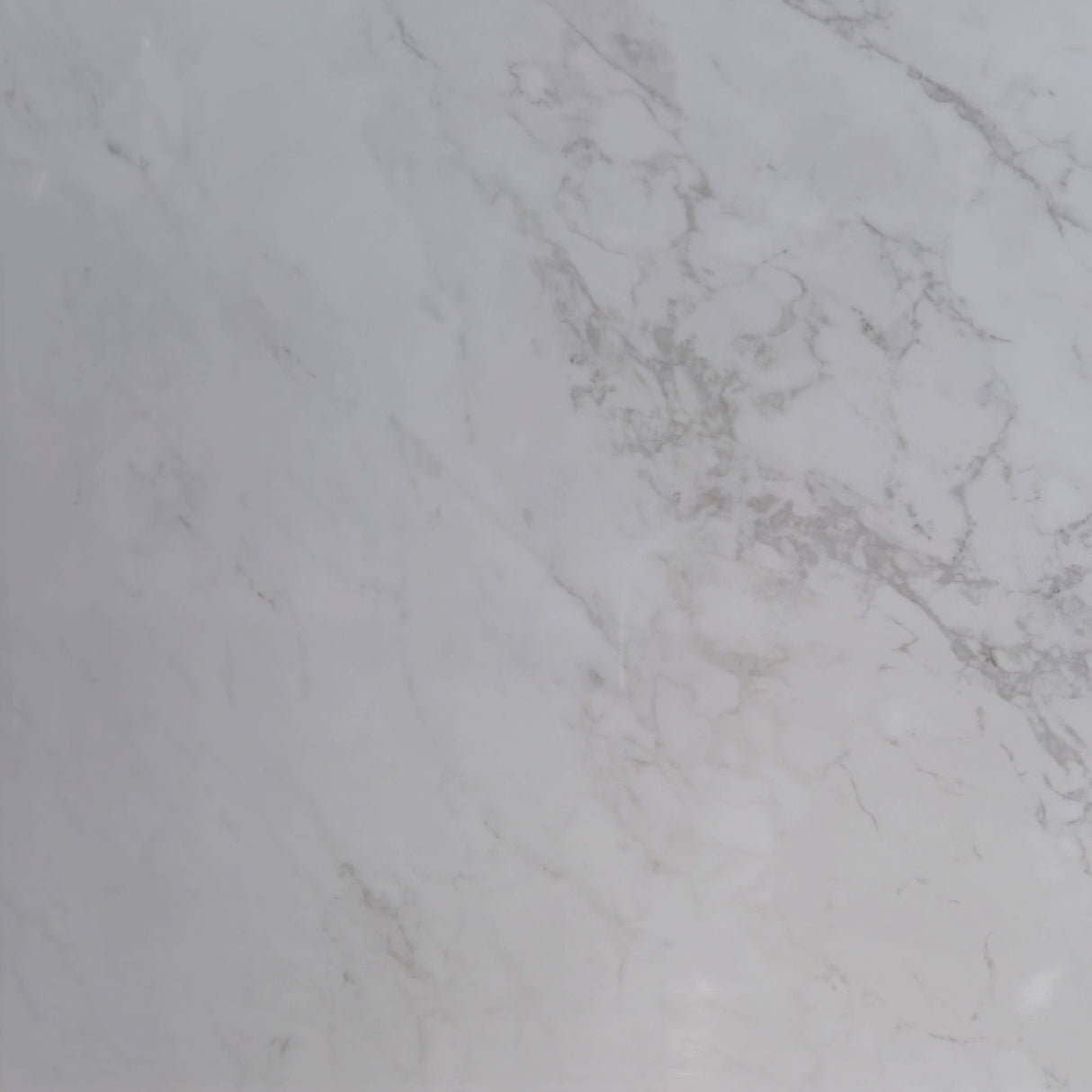 BIANCO CARRARA GLOSS 600x600