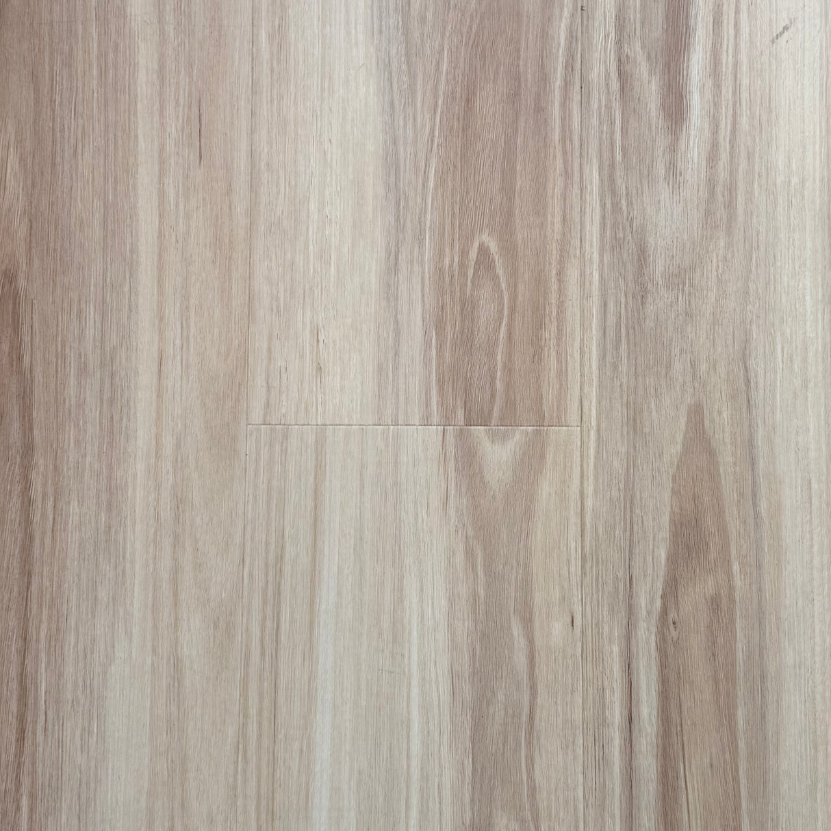 BLACKBUTT HYBRID - TP11792