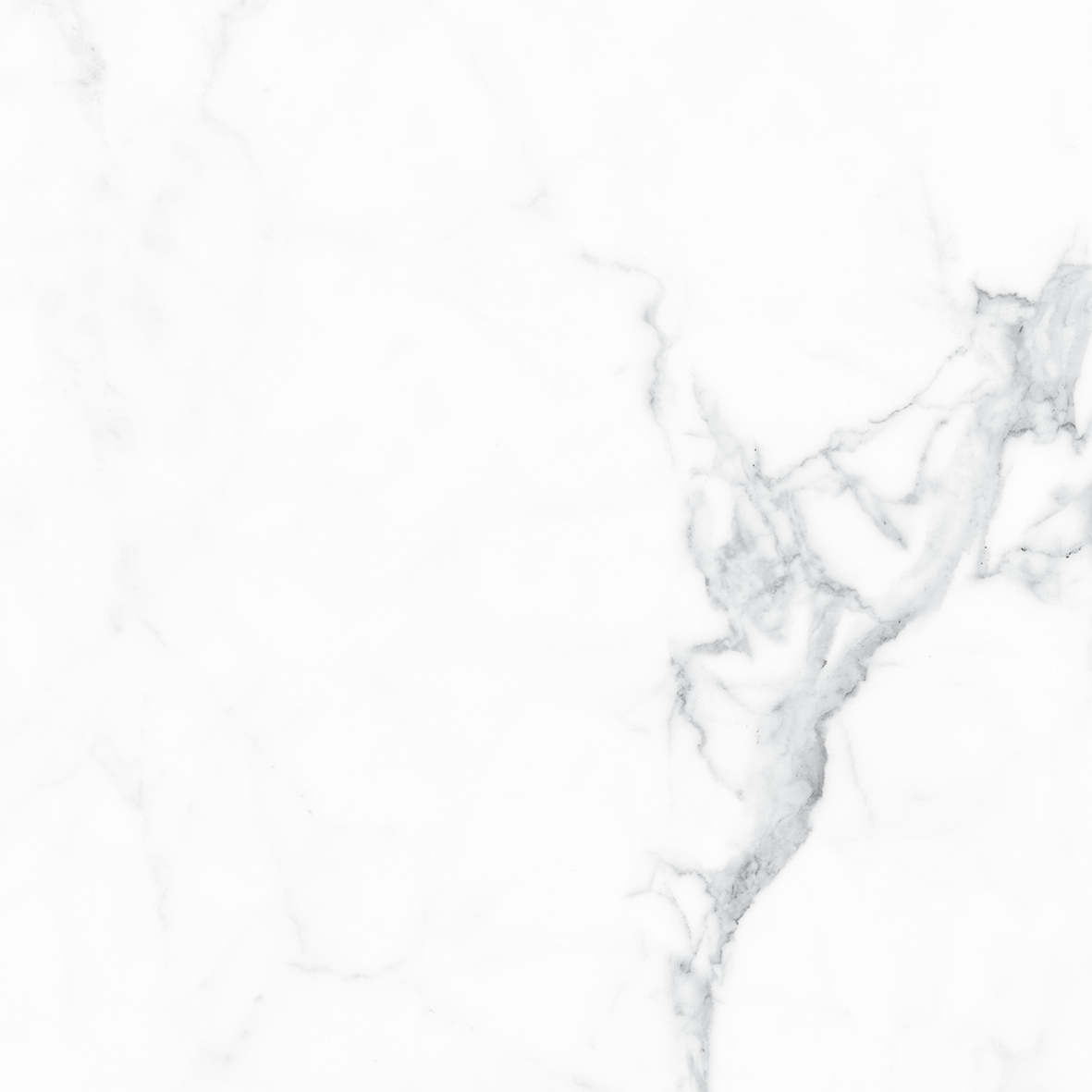 CALACATTA WHITE MATT 600x600