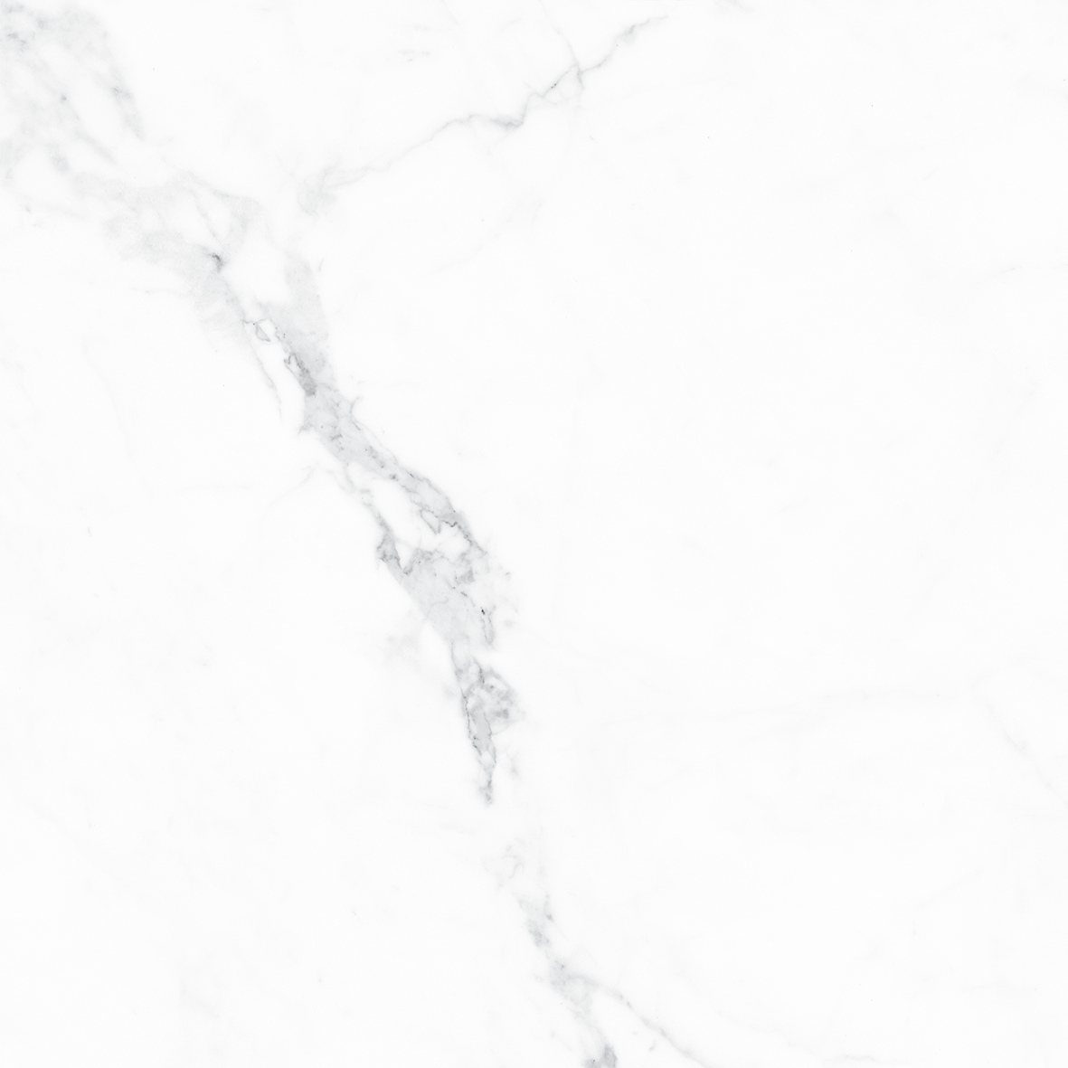 CALACATTA WHITE MATT 600x600