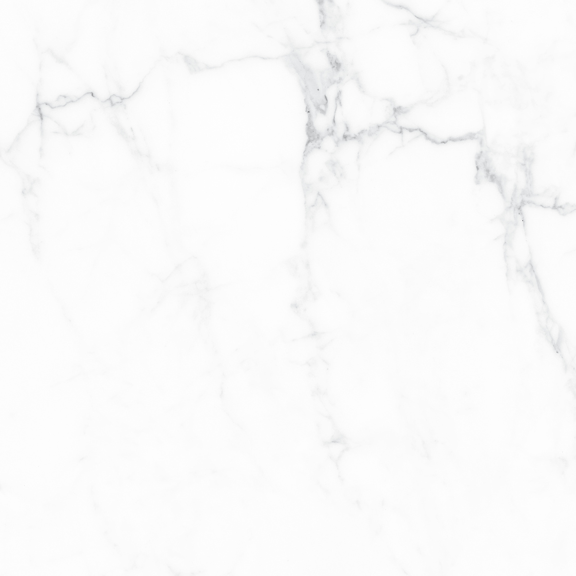CALACATTA WHITE MATT 600x600