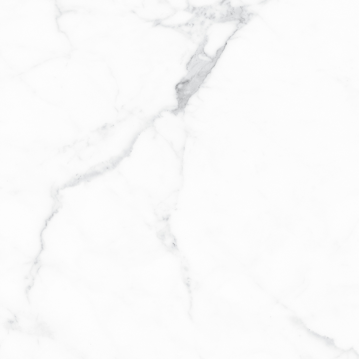 CALACATTA WHITE MATT 600x600