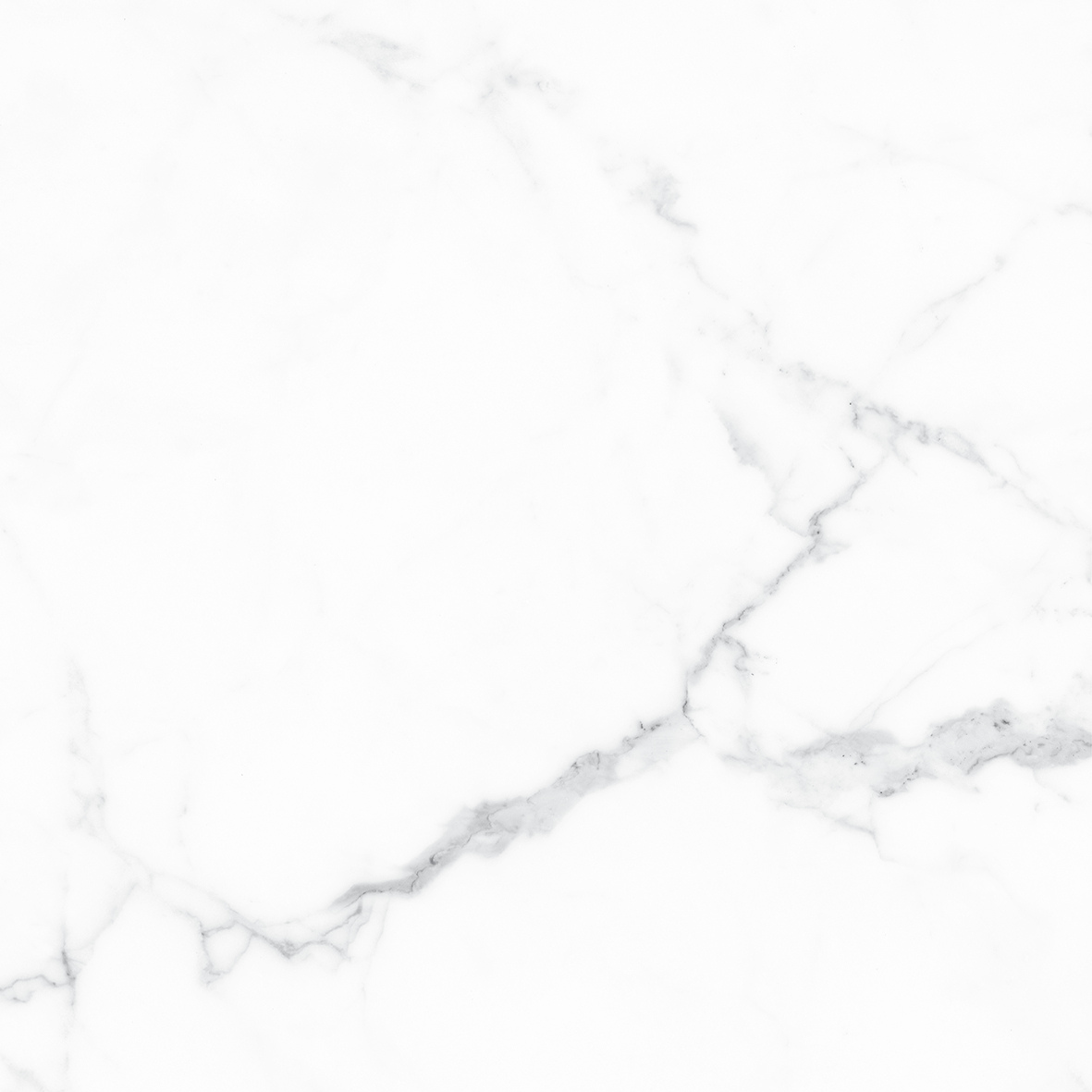 CALACATTA WHITE MATT 600x600