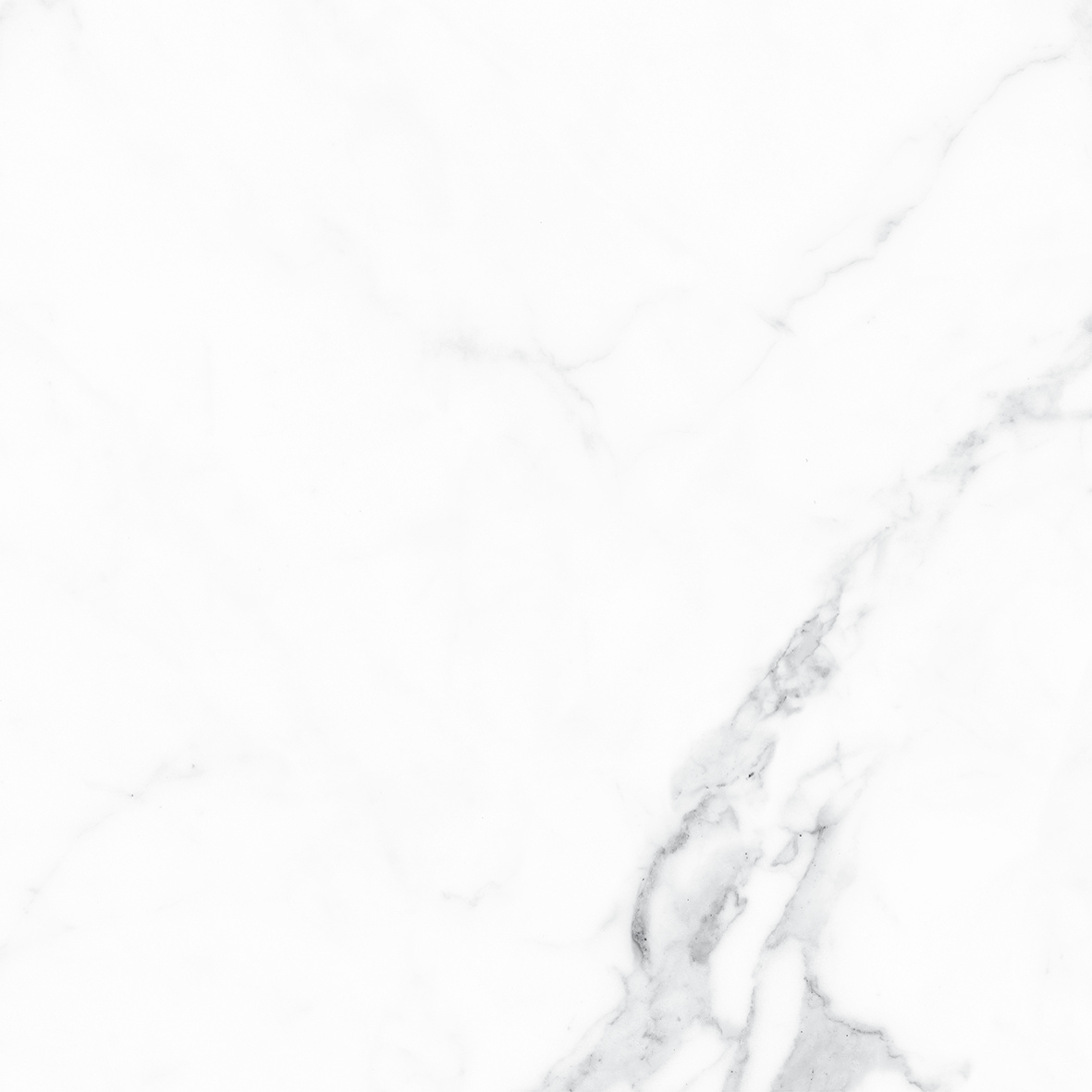 CALACATTA WHITE MATT 600x600
