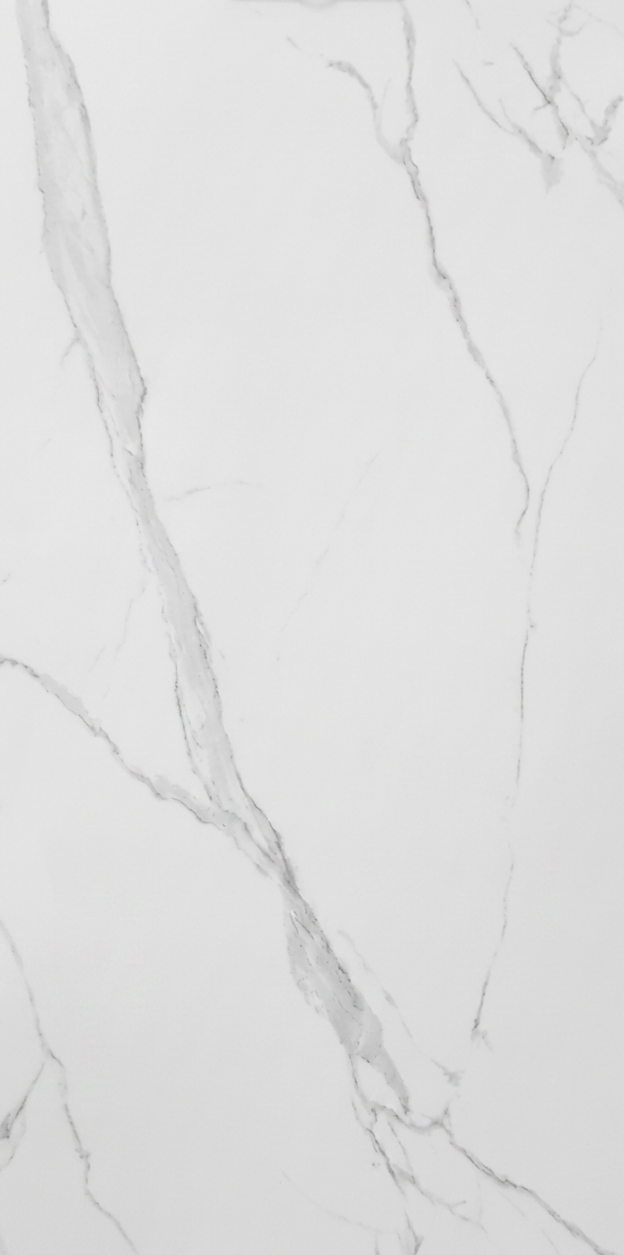 CARRARA GLOSS 900x1800