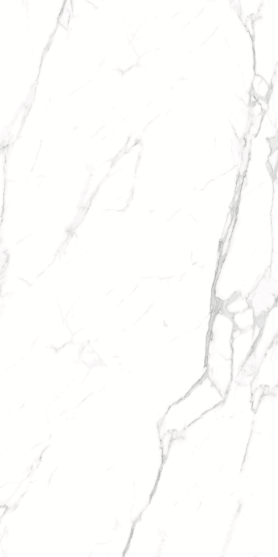 CARRARA 634 GLOSS 600x1200