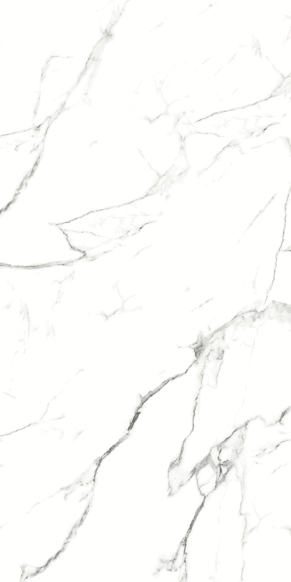CARRARA 634 GLOSS 600x1200