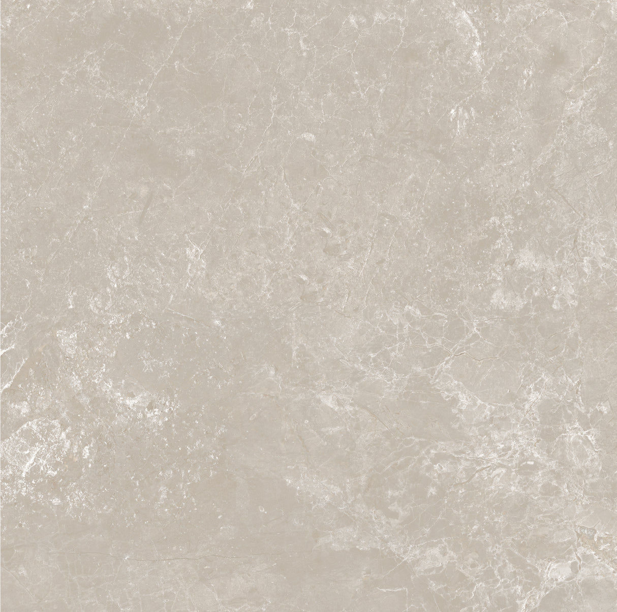 CHAMPAGNE 600x600
