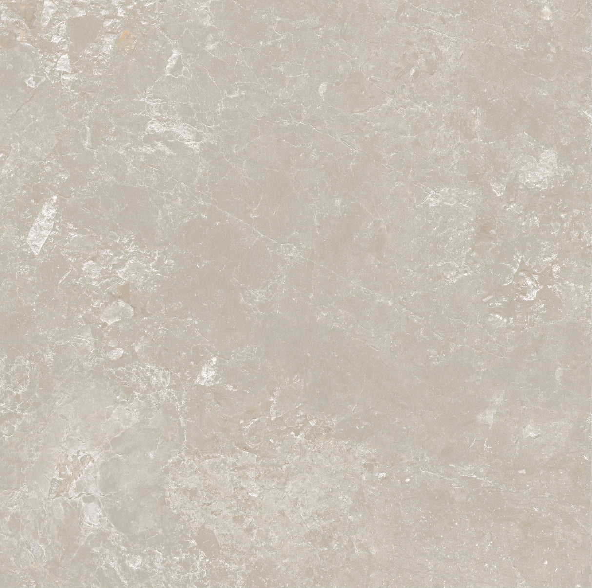 CHAMPAGNE 600x600