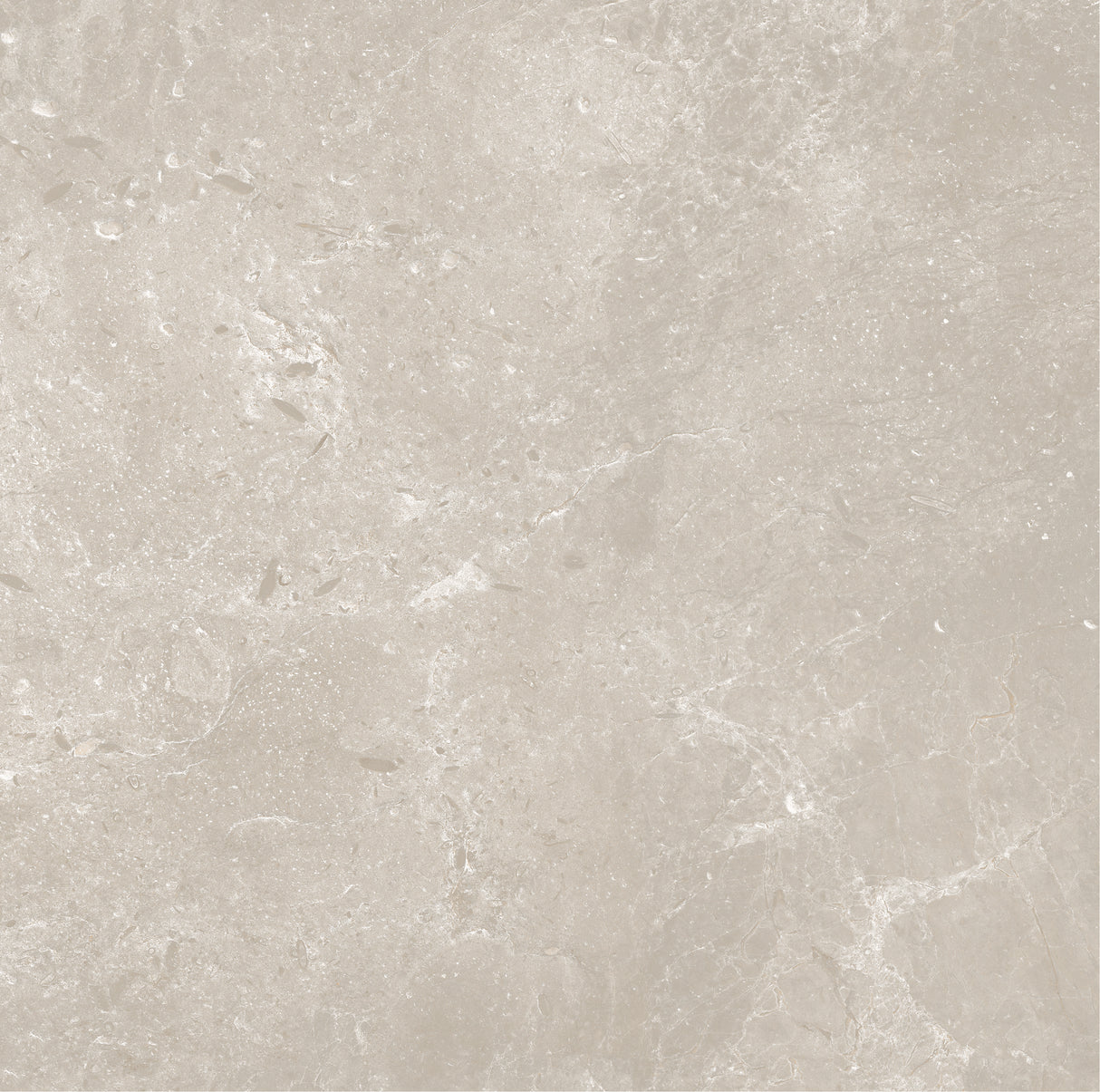 CHAMPAGNE 600x600