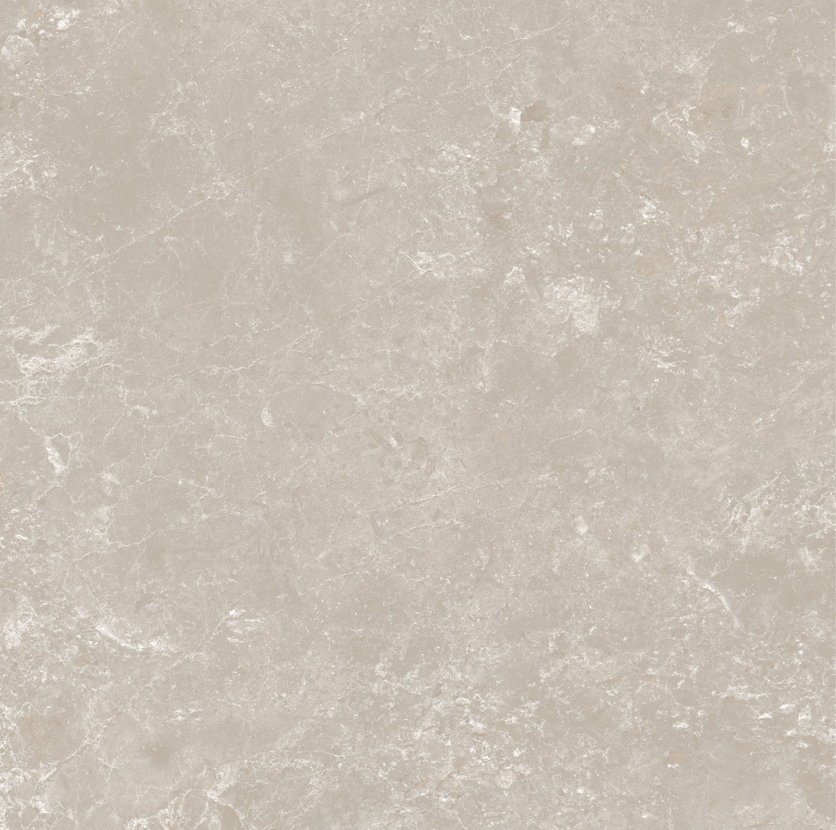 CHAMPAGNE 600x600