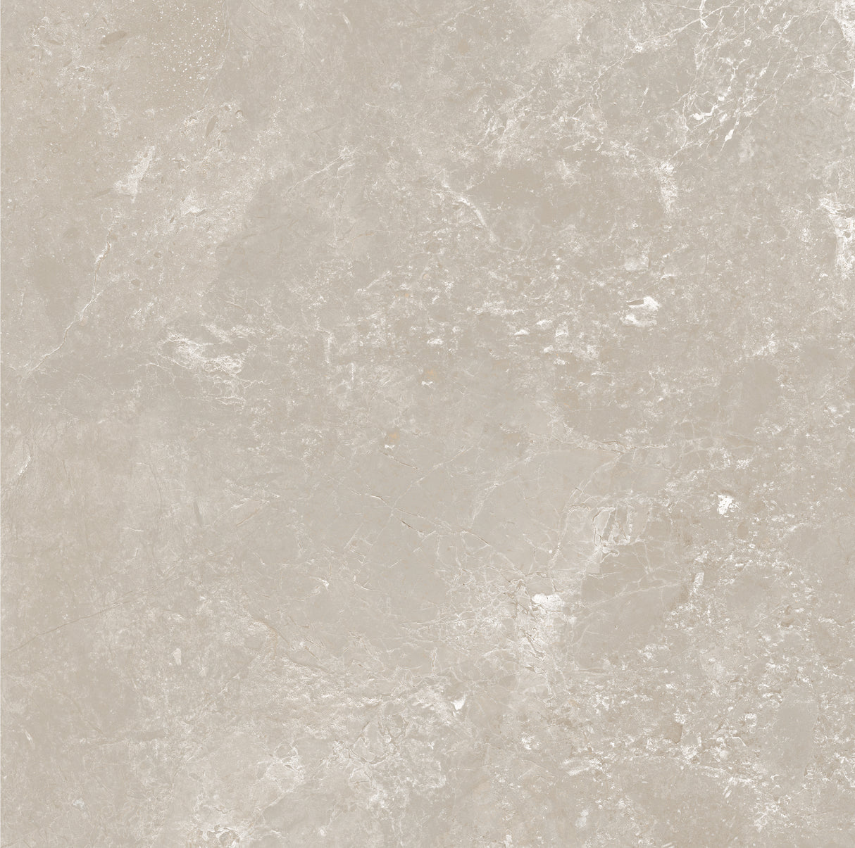 CHAMPAGNE 600x600