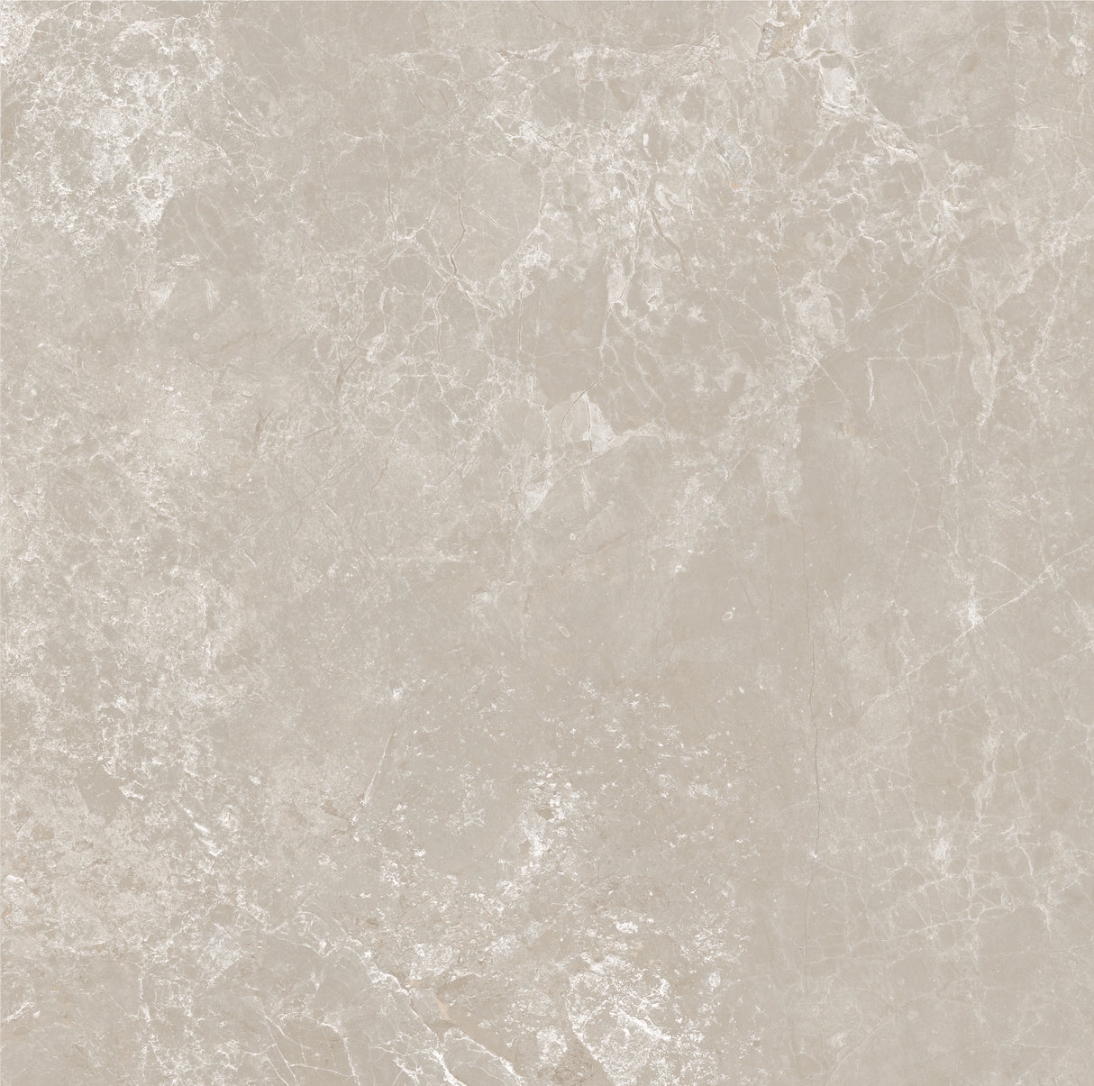 CHAMPAGNE 600x600