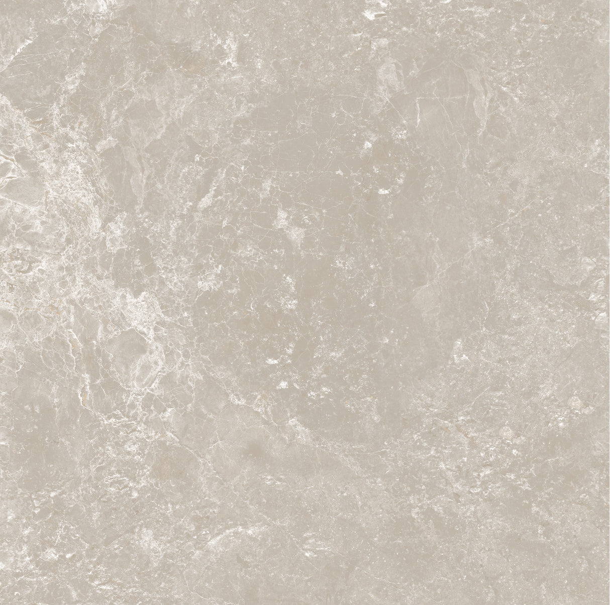 CHAMPAGNE 600x600