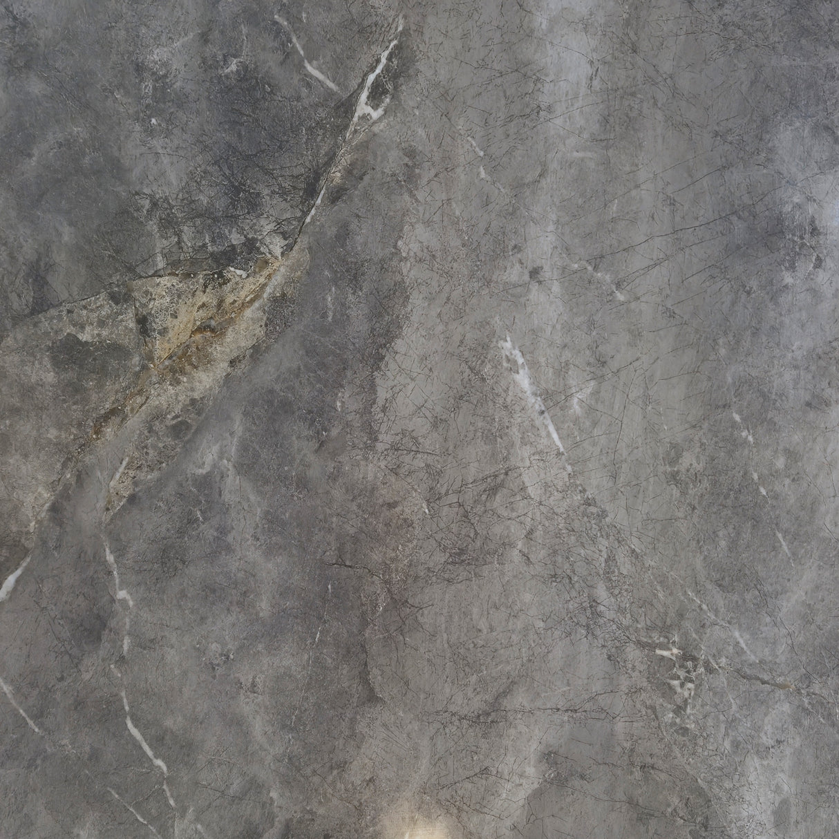 CK36Y412PA GLOSS 600x600