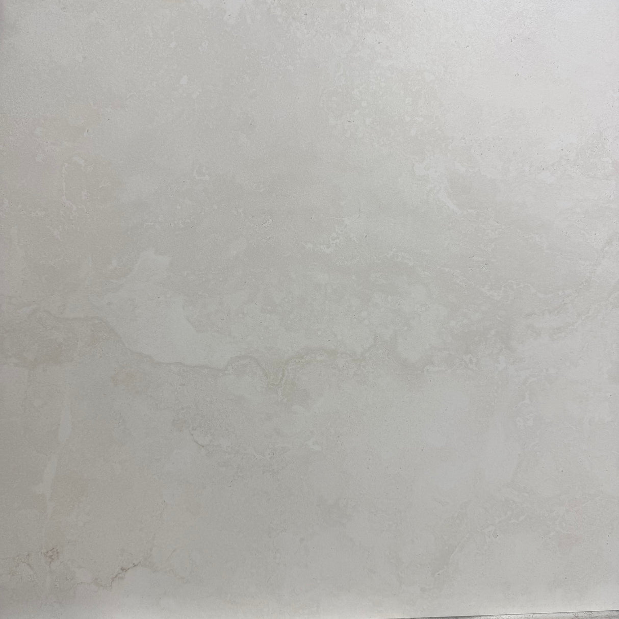 FOSSIL BONE 600X600