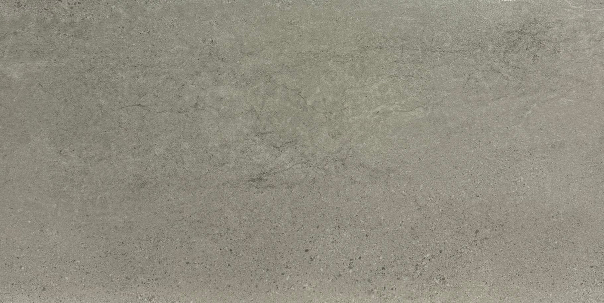 ASPEN SILVER LAPPATO 300x600