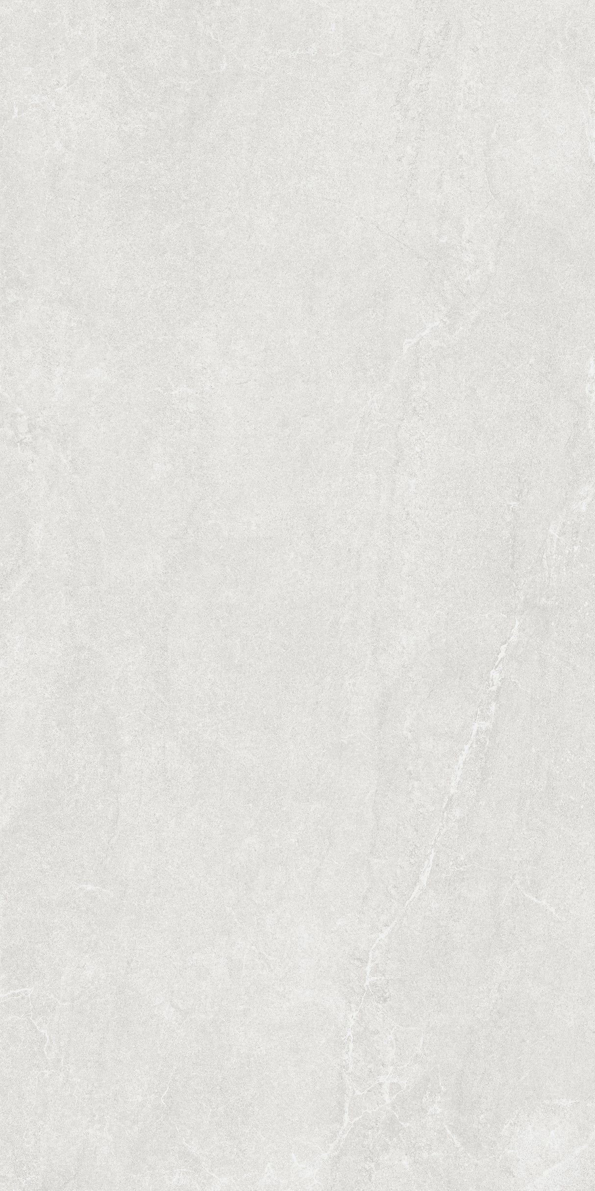 SM12602 600x1200