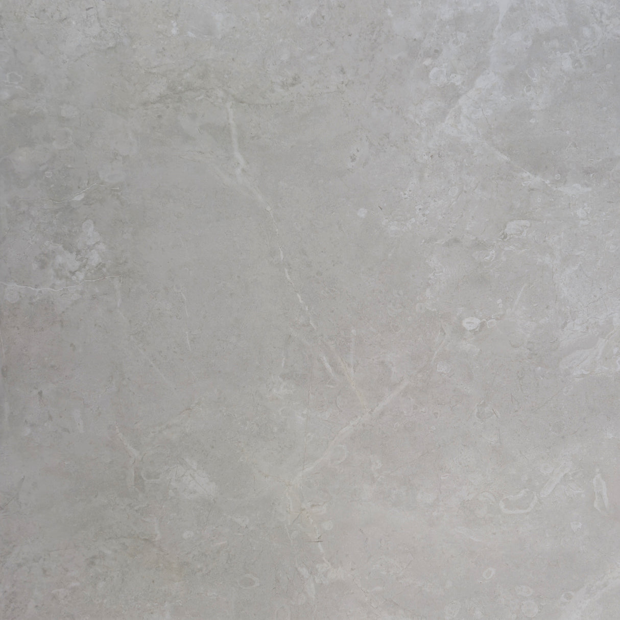 MONACO BIANCO POLISHED 600x600