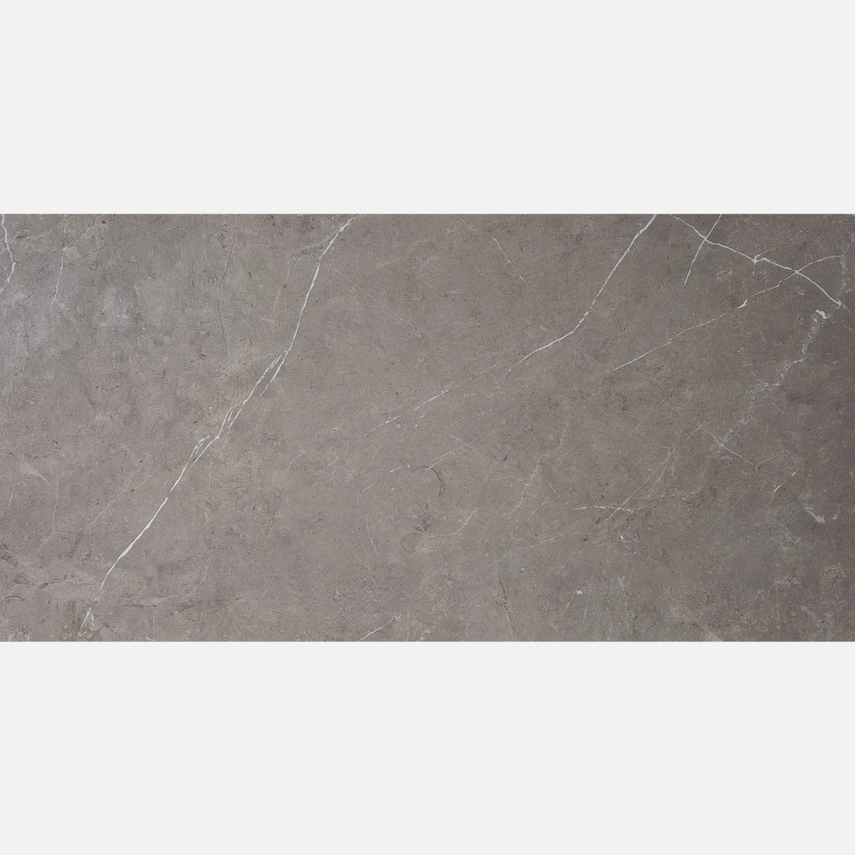 MOONSTAR GREY GLOSS 300x600