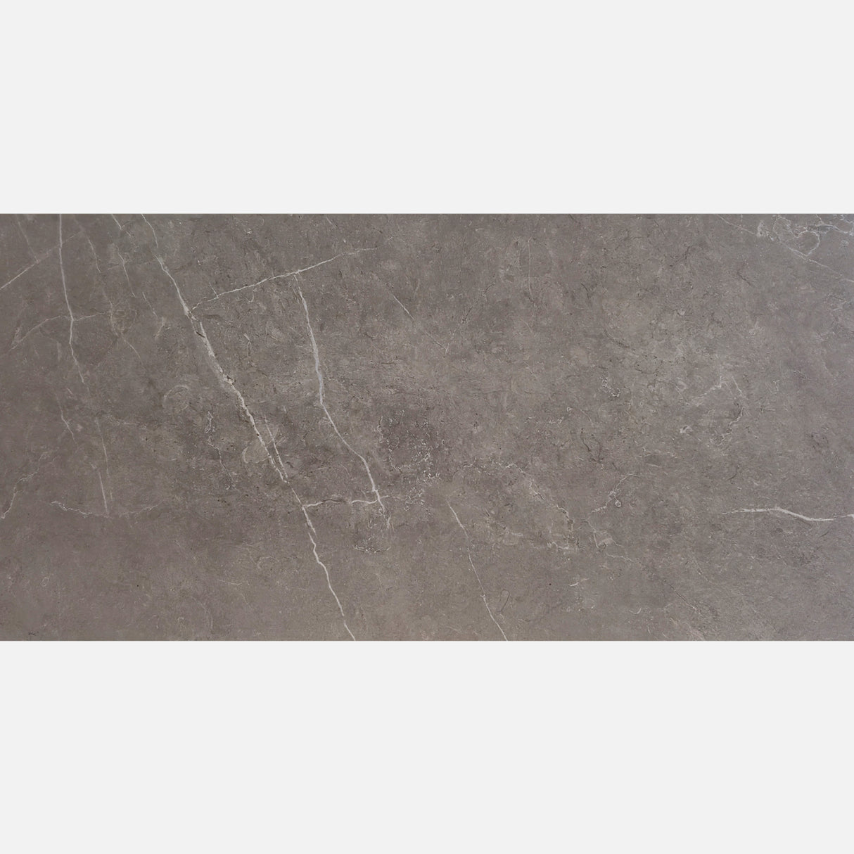 MOONSTAR GREY MATT 300x600