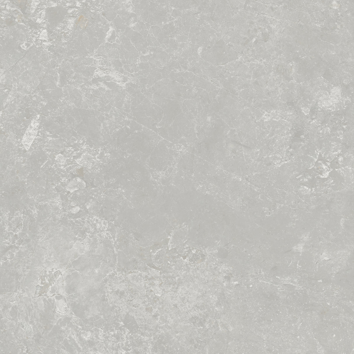 PERIE 600x600