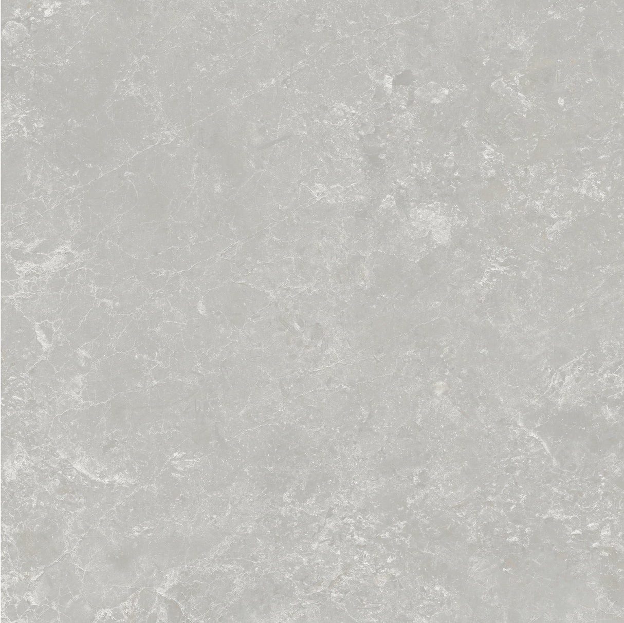 PERIE 600x600