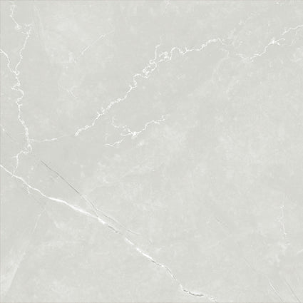 ASTRA LIGHT GREY LAPPATO 600x600