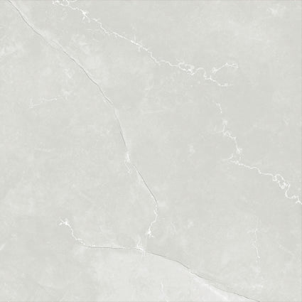 ASTRA LIGHT GREY LAPPATO 600x600