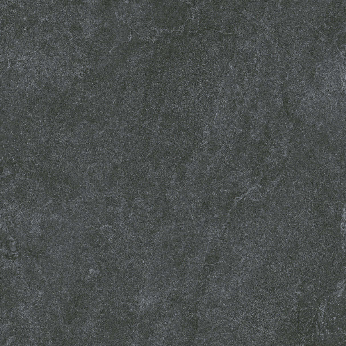 SM6004N 600x600