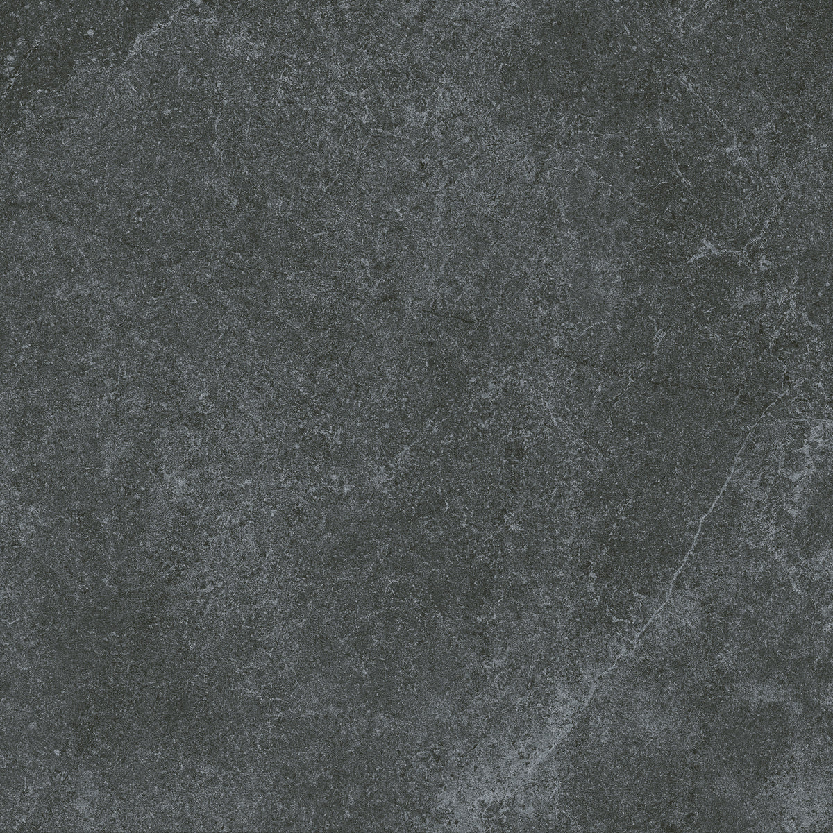 SM6004N 600x600