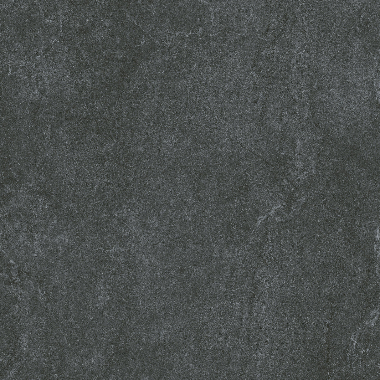 SM6004N 600x600