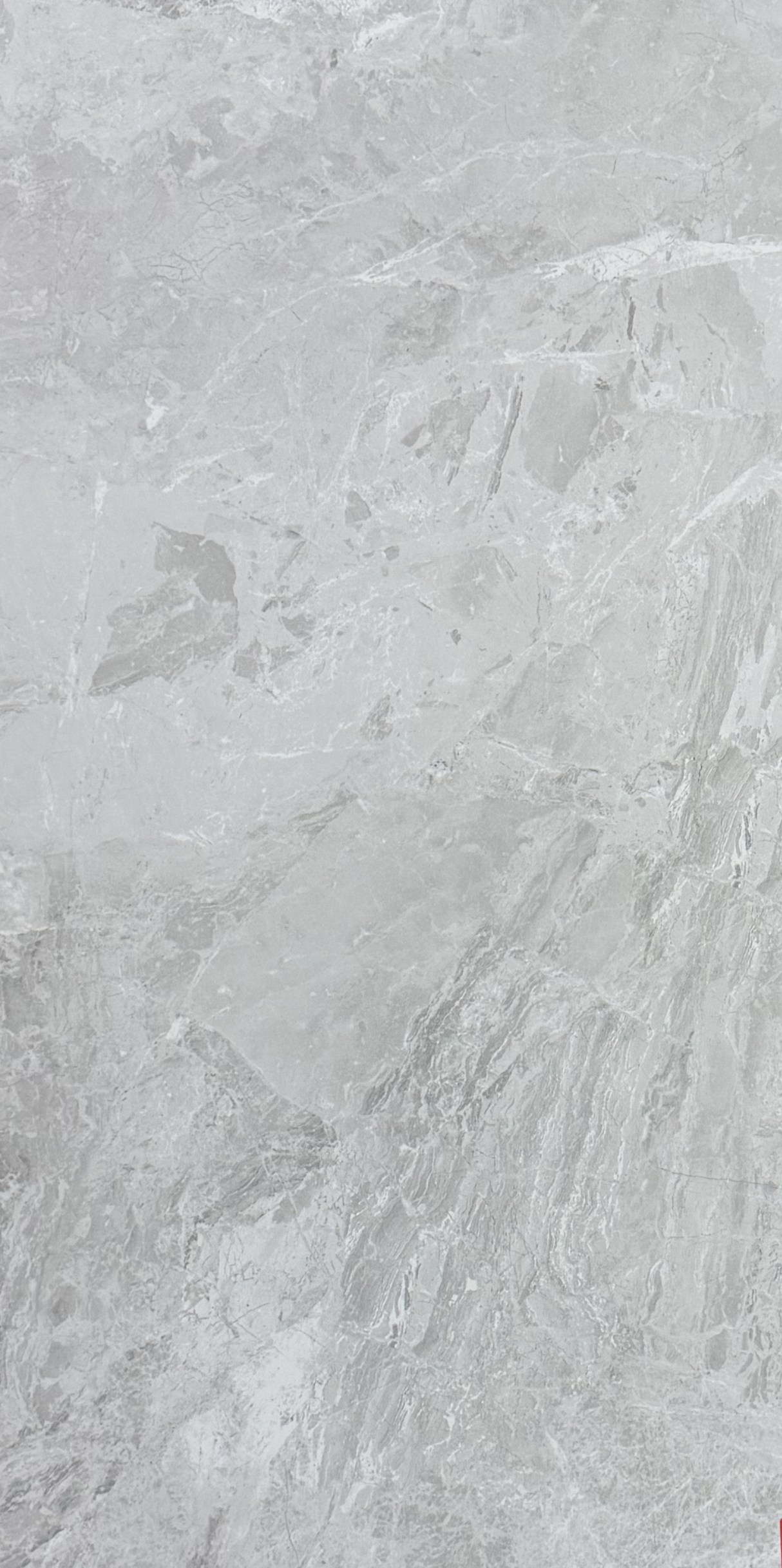TUANA SILVER NATURAL 600x1200