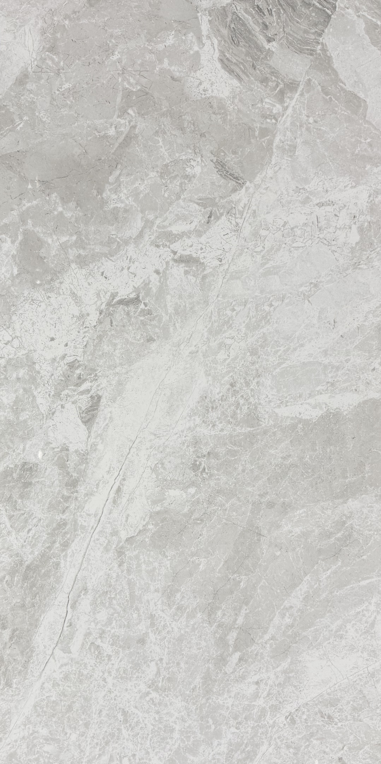 TUANA SILVER POLISHED 600x1200