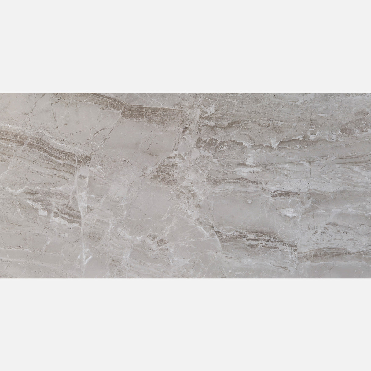 TUANA GREIGE POLISHED 300x600