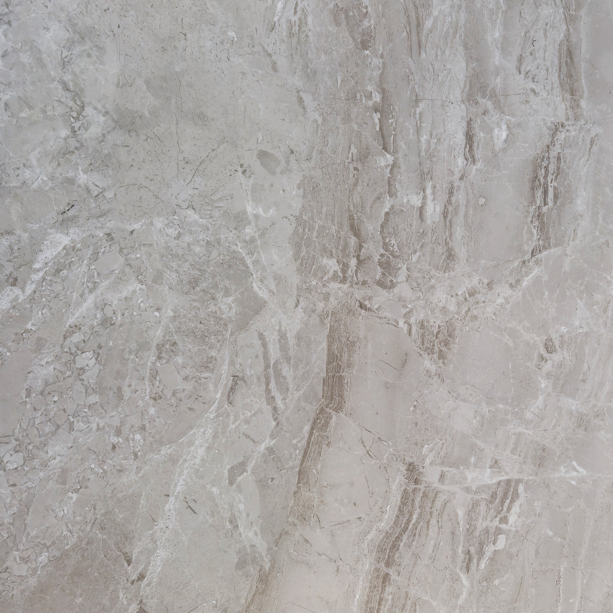 TUANA GREIGE POLISHED 600x600