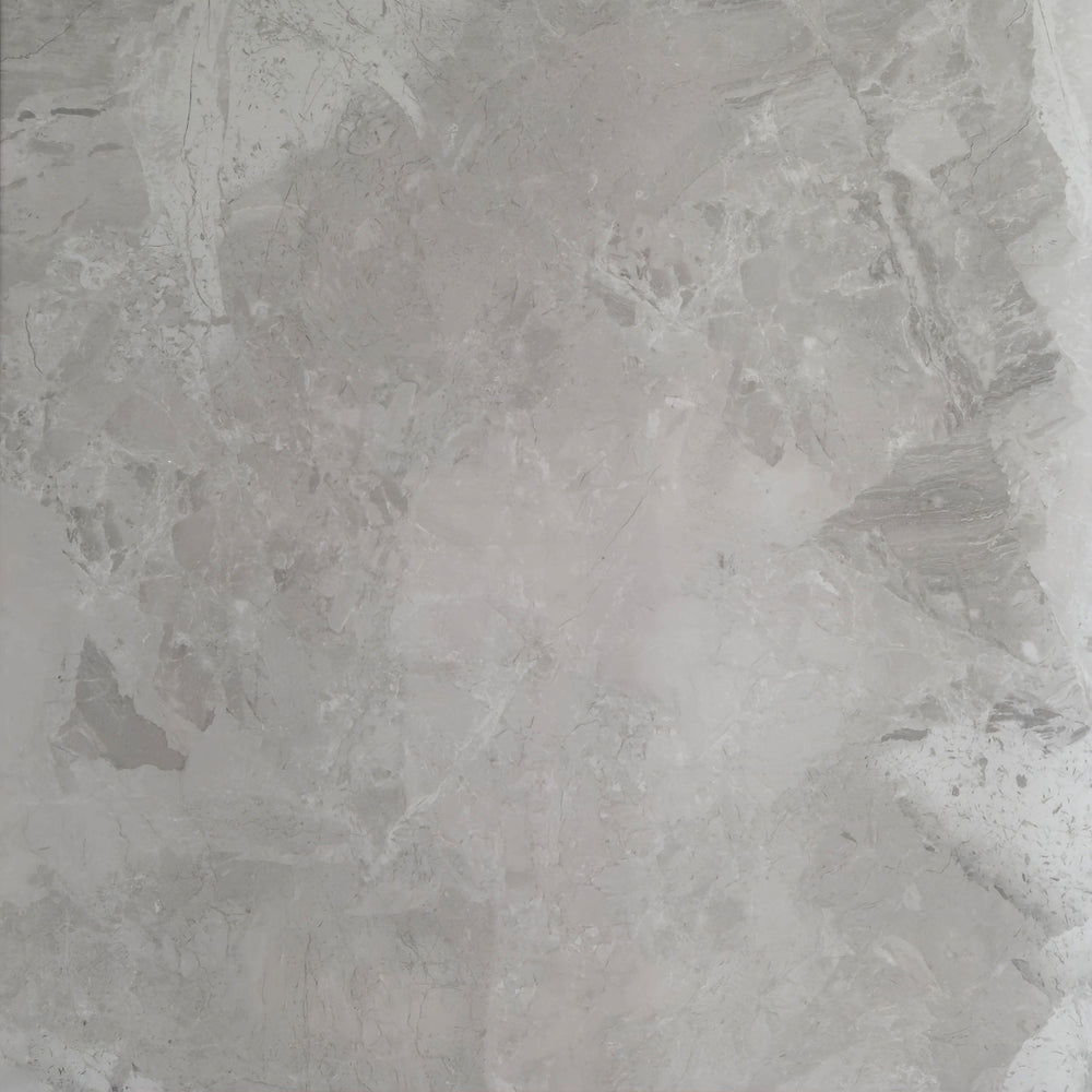 TUANA SILVER POLISHED 600x600