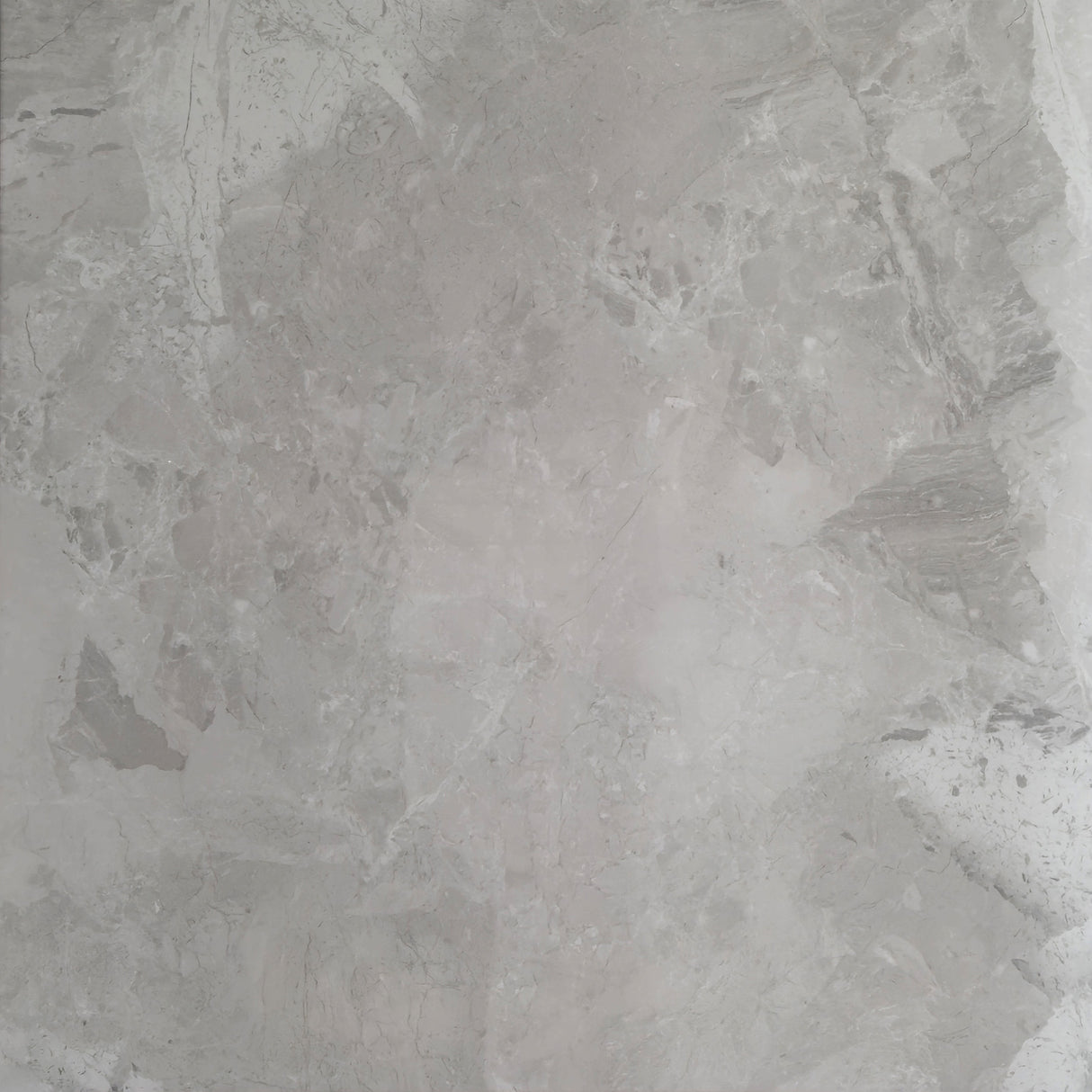 TUANA SILVER POLISHED 600x600