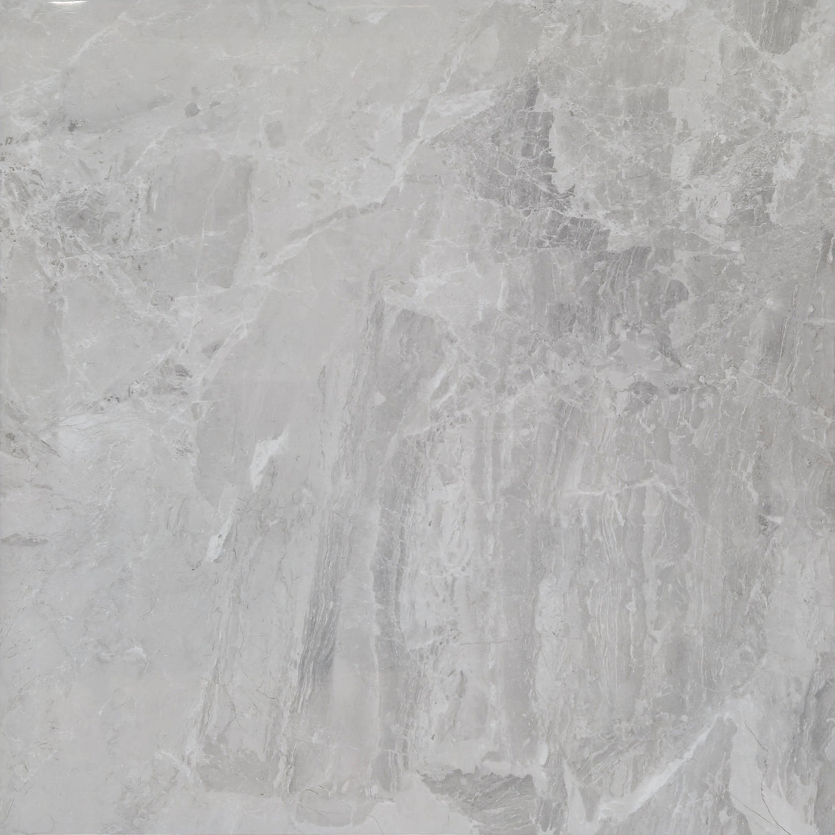 TUANA SILVER POLISHED 600x600