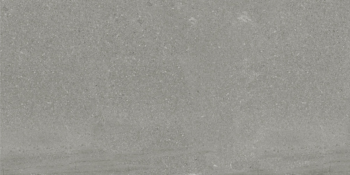 TW GREY R11 300x600