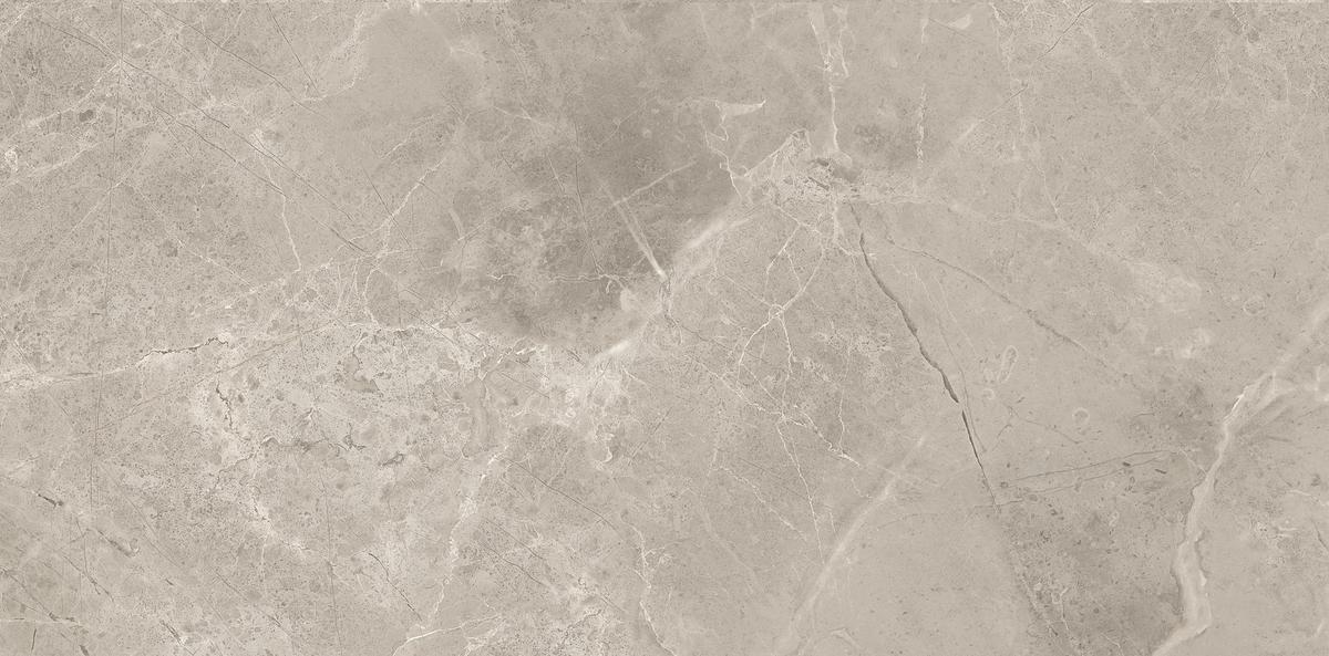 CAPACIO GREY 300x600