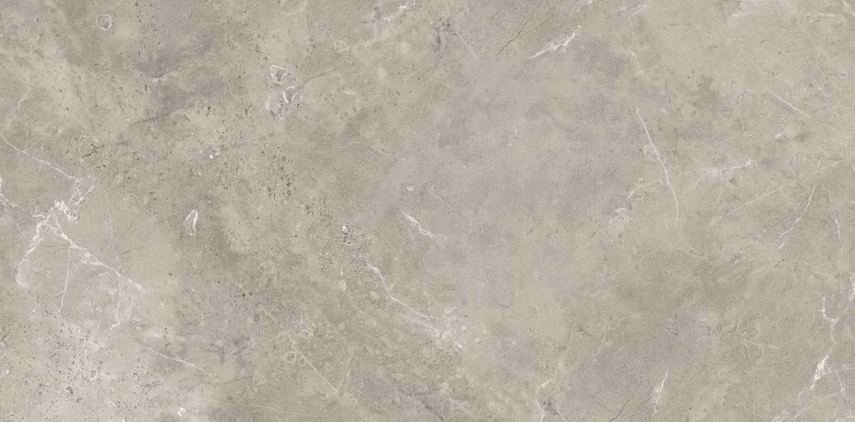 CAPACIO GREY 300x600