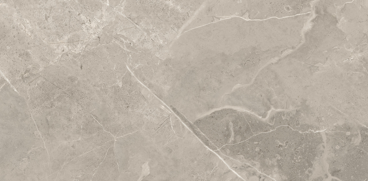 CAPACIO GREY 300x600