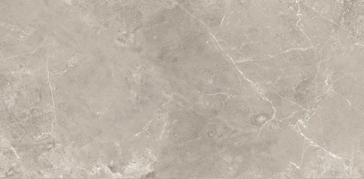 CAPACIO GREY 300x600
