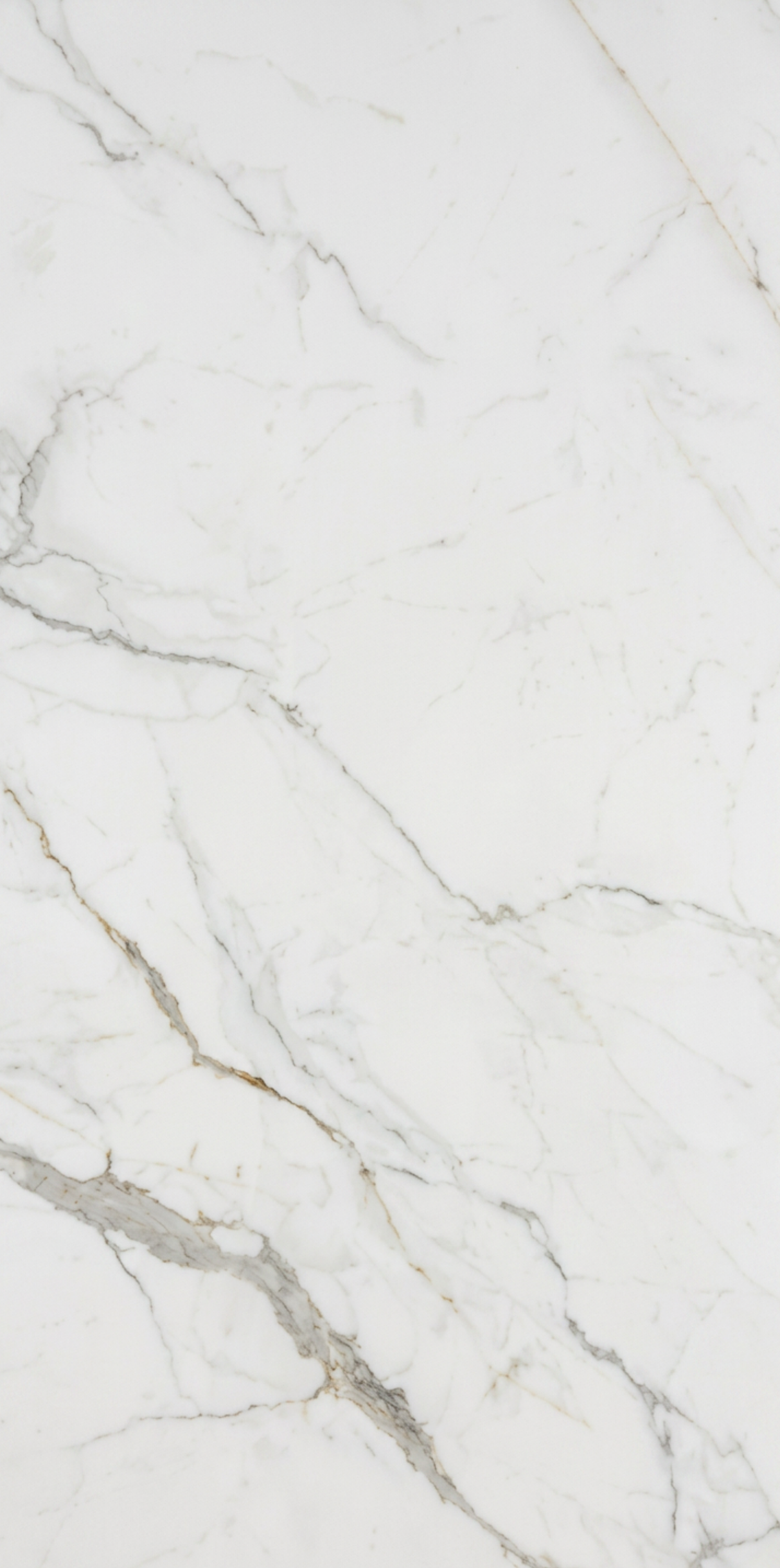 WHITE JADE 750x1500