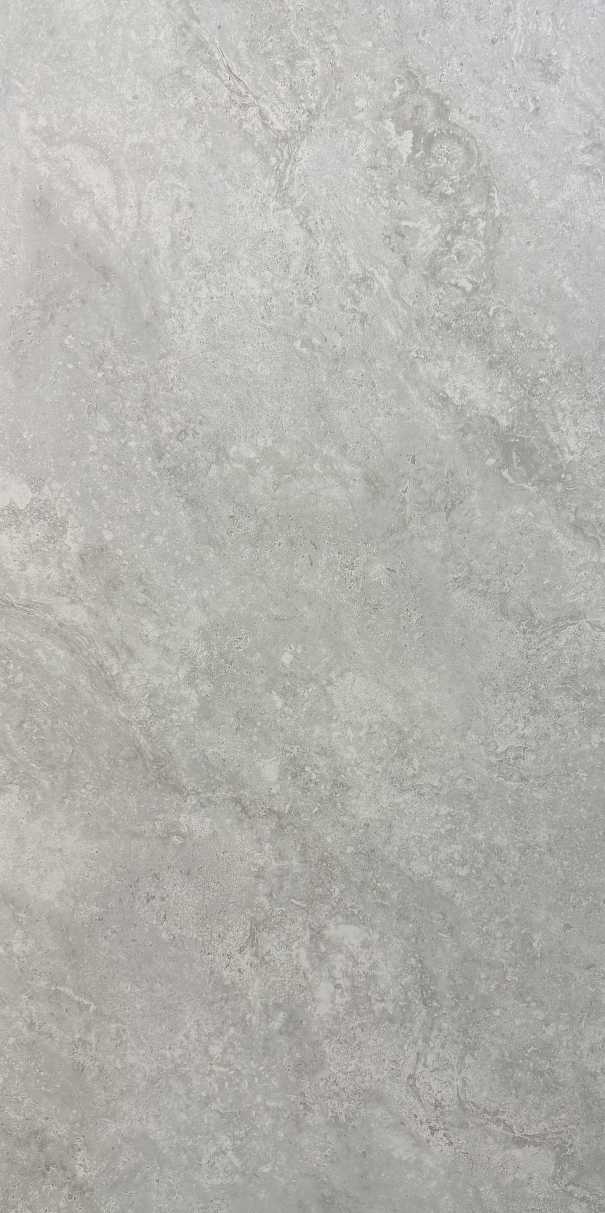 DESERT SILVER 600x1200