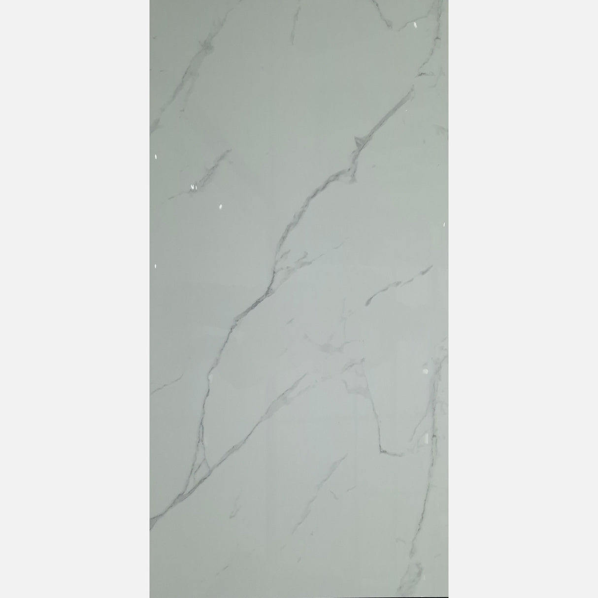 CARRARA 634 GLOSS 600x1200