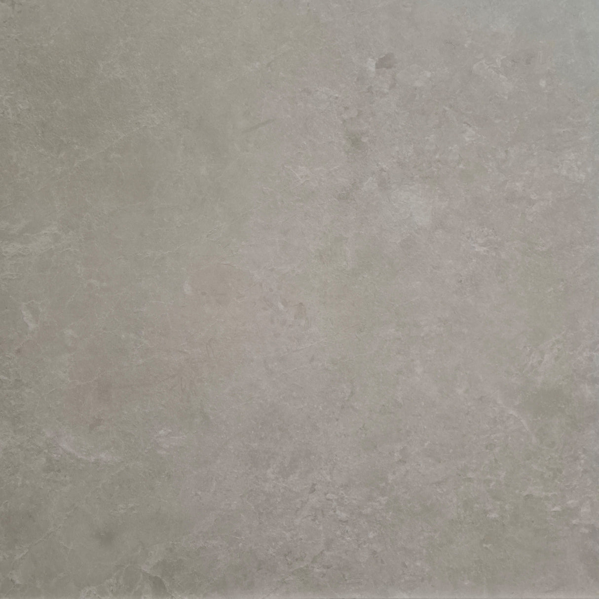 CHAMPAGNE R10 600x600